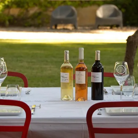 Domaine De La Jasso, Grand Luxe Au Pied De La Cite De Carcassonne, Piscines Et Parc Animalier Holiday home