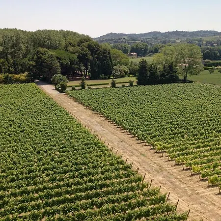 Domaine De La Jasso, Grand Luxe Au Pied De La Cite De Carcassonne, Piscines Et Parc Animalier