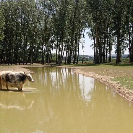 Domaine De La Jasso, Grand Luxe Au Pied De La Cite De Carcassonne, Piscines Et Parc Animalier *