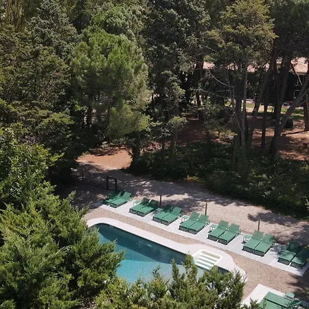 Domaine De La Jasso, Demeure De Grand Luxe Au Pied De La Cite De Carcassonne, Piscines Et Parc Animalier Semesterbostad