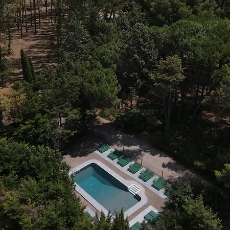 Domaine De La Jasso, Demeure De Grand Luxe Au Pied De La Cite De Carcassonne, Piscines Et Parc Animalier Καρκασόν