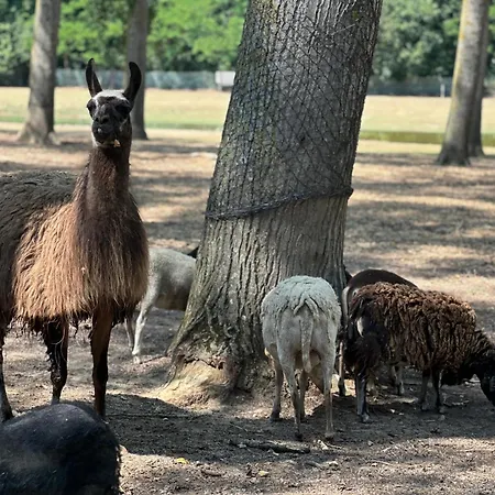 Domaine De La Jasso, Demeure De Grand Luxe Au Pied De La Cite De Carcassonne, Piscines Et Parc Animalier *