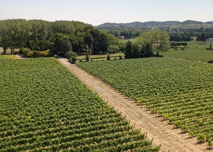 Domaine De La Jasso, Demeure De Grand Luxe Au Pied De La Cite De Carcassonne, Piscines Et Parc Animalier