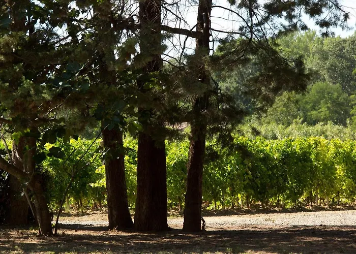 Domaine De La Jasso, Demeure De Grand Luxe Au Pied De La Cite De Carcassonne, Piscines Et Parc Animalier Holiday home Carcassonne