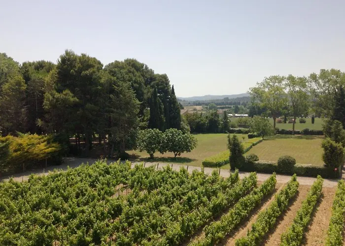 Domaine De La Jasso, Demeure De Grand Luxe Au Pied De La Cite De Carcassonne, Piscines Et Parc Animalier Holiday home Carcassonne