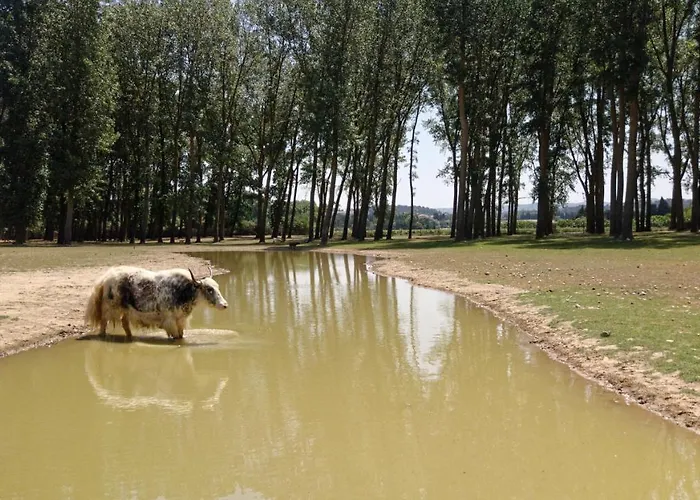 Domaine De La Jasso, Demeure De Grand Luxe Au Pied De La Cite De Carcassonne, Piscines Et Parc Animalier *