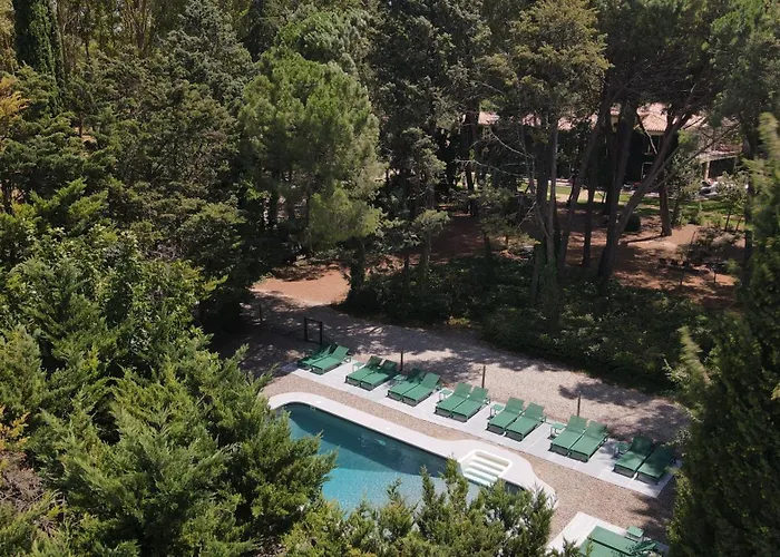 Domaine De La Jasso, Demeure De Grand Luxe Au Pied De La Cite De Carcassonne, Piscines Et Parc Animalier Holiday home