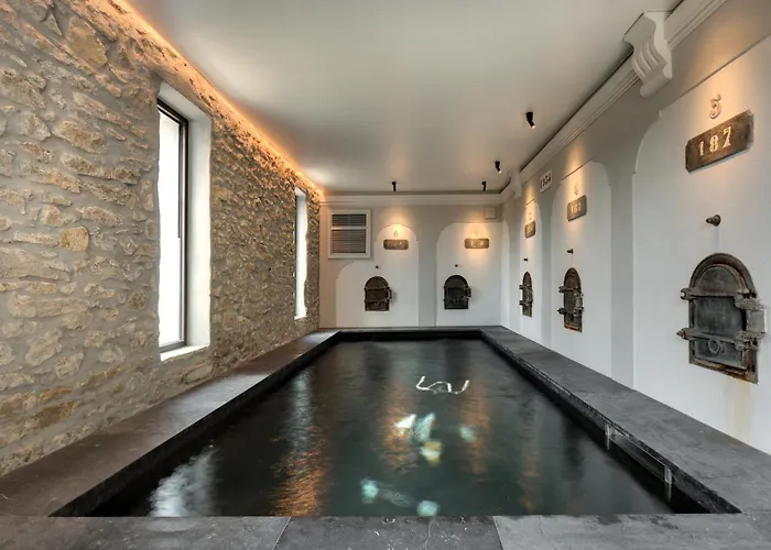 Domaine De La Jasso, Demeure De Grand Luxe Au Pied De La Cite De Carcassonne, Piscines Et Parc Animalier Carcassonne