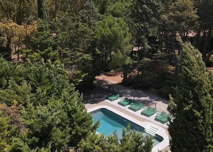 Domaine De La Jasso, Demeure De Grand Luxe Au Pied De La Cite De Carcassonne, Piscines Et Parc Animalier Holiday home