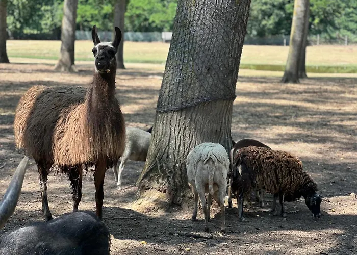 Domaine De La Jasso, Demeure De Grand Luxe Au Pied De La Cite De Carcassonne, Piscines Et Parc Animalier *